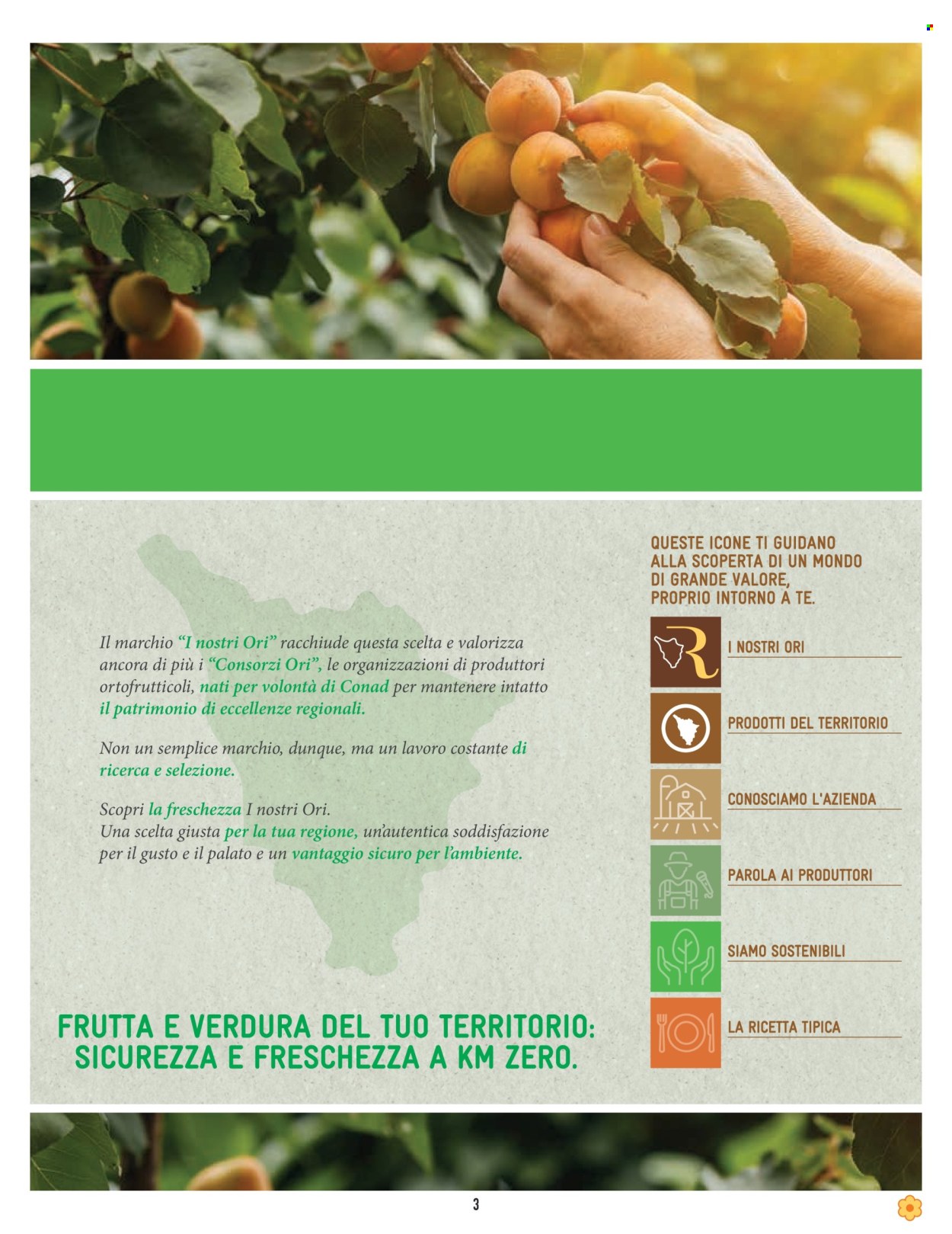 Volantino Conad - 8/8/2024 - 21/8/2024. Pagina 3