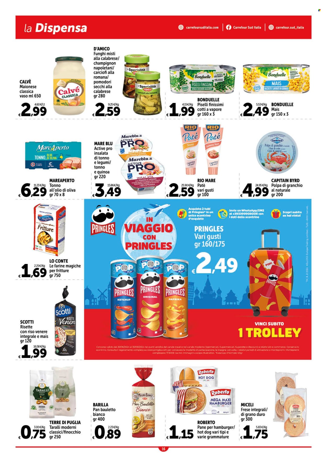 Leták Carrefour - 1.8.2024 - 10.8.2024. Strana 16