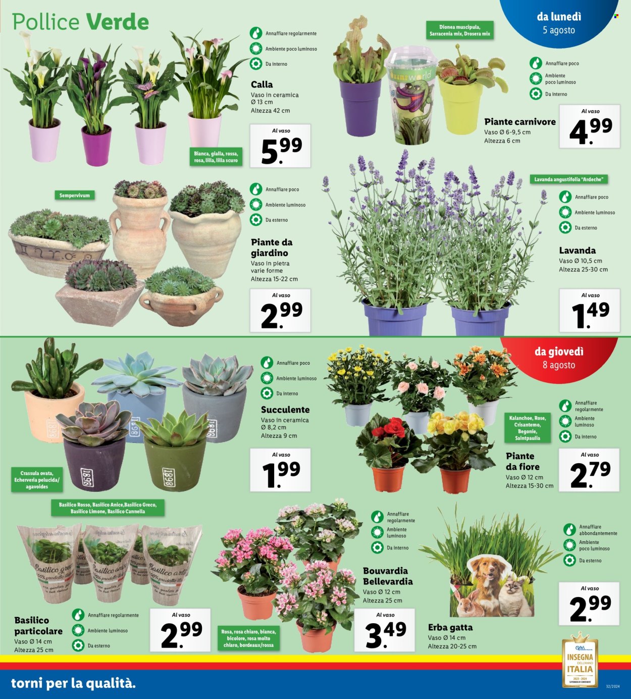 Volantino Lidl - 5/8/2024 - 11/8/2024. Pagina 17