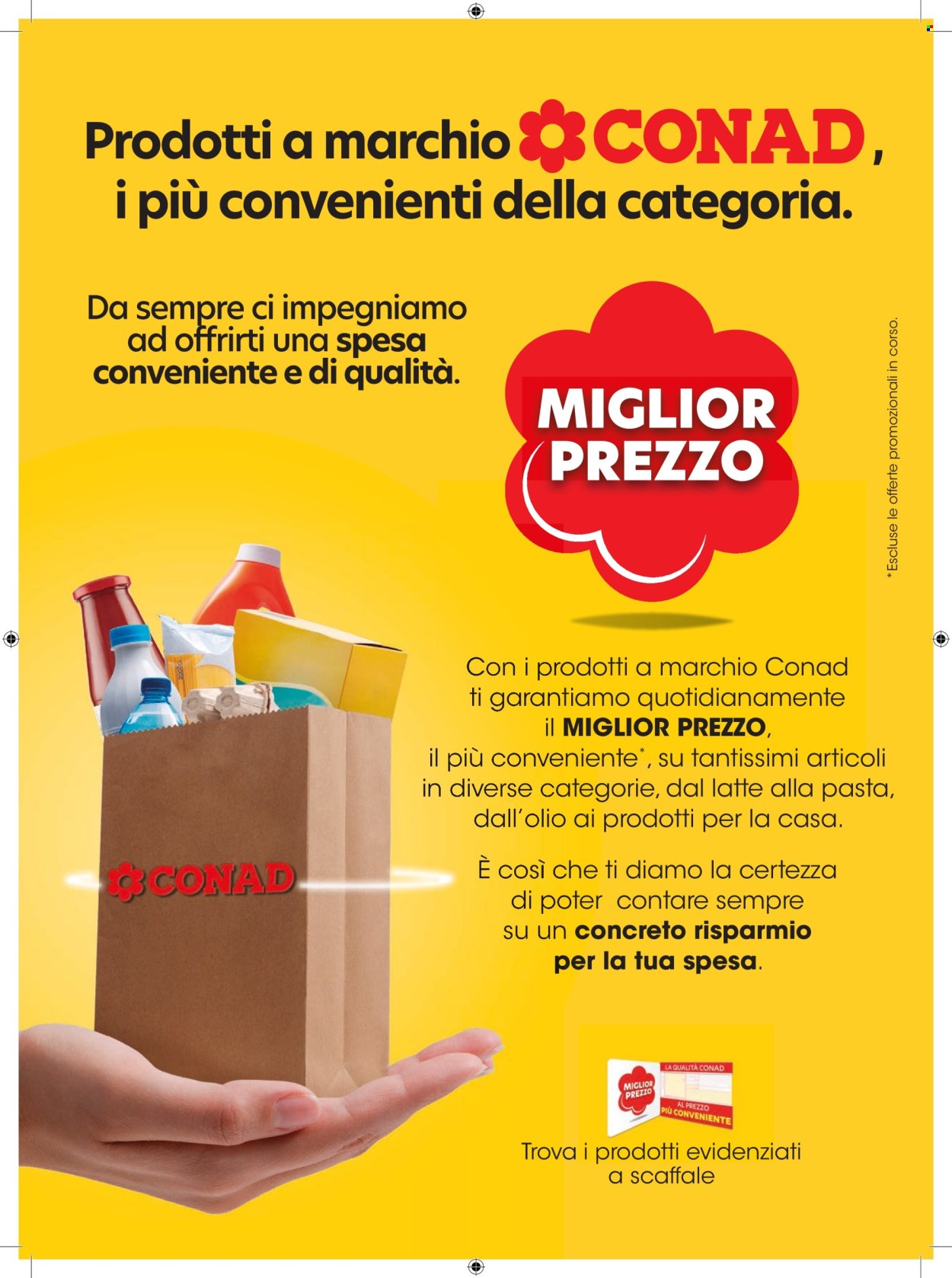 Volantino Margherita Conad - 7/8/2024 - 20/8/2024. Pagina 17