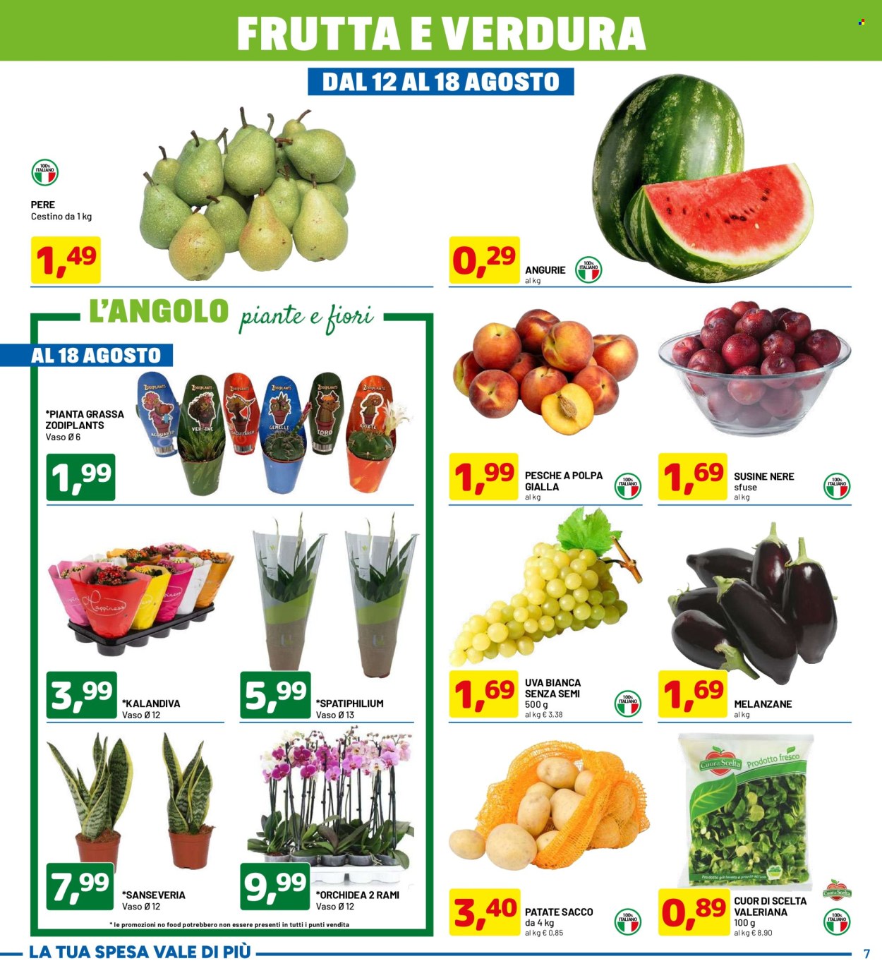 Volantino Dpiù - 5/8/2024 - 18/8/2024. Pagina 7