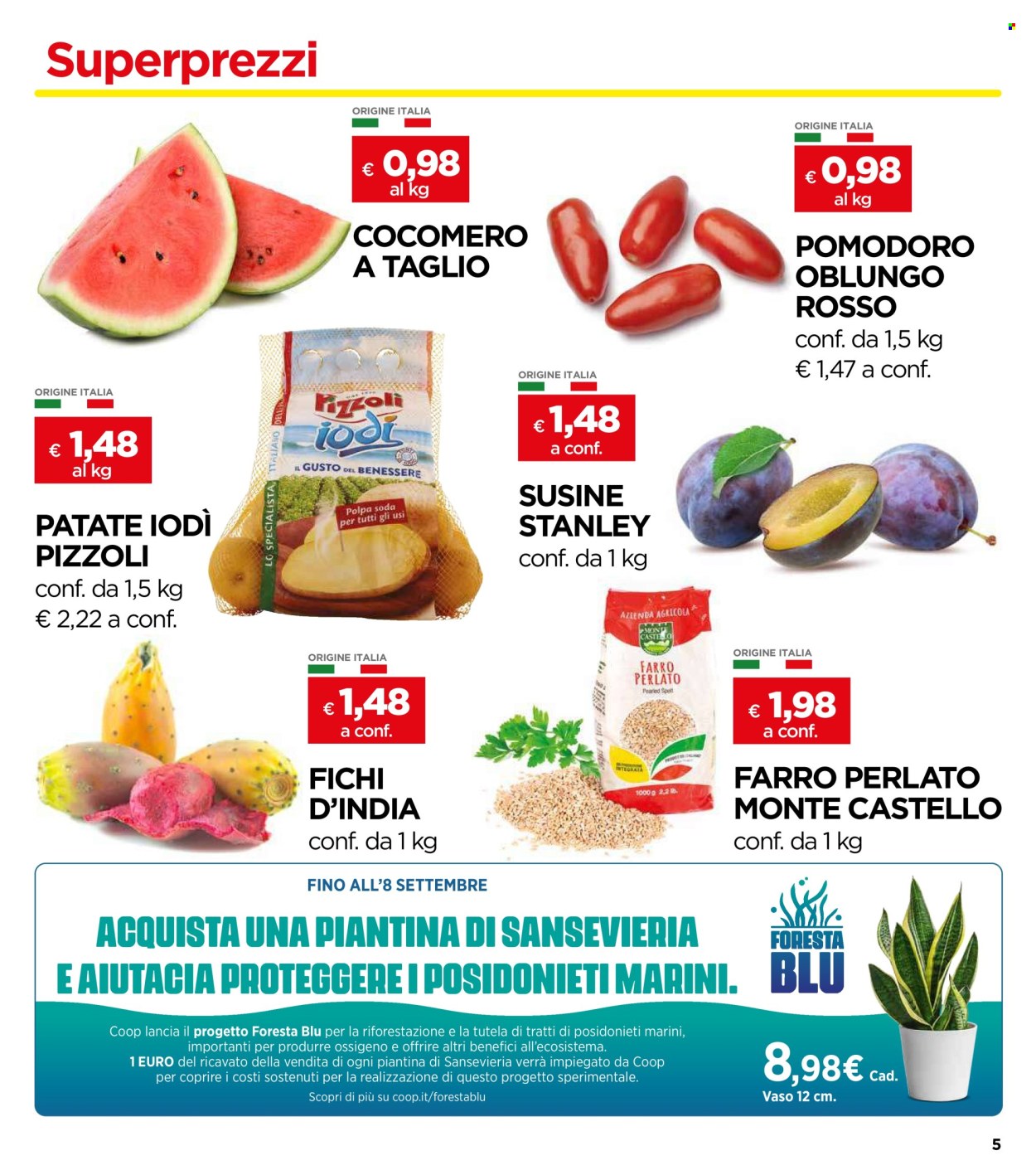 Leták Coop - 8.8.2024 - 20.8.2024. Strana 5