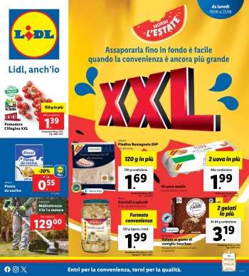 Volantino Lidl - 19/8/2024 - 25/8/2024.
