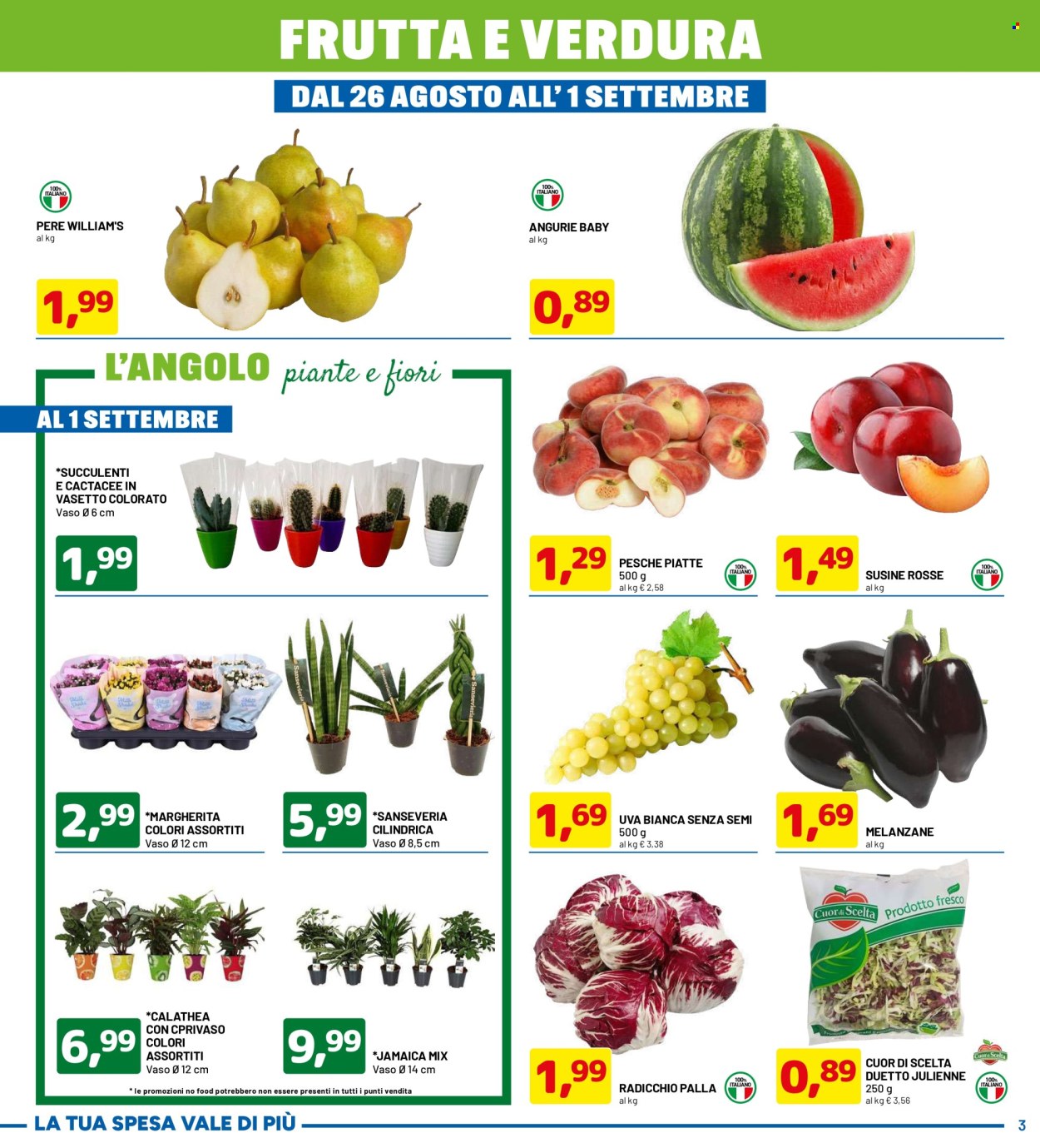 Volantino Dpiù - 19/8/2024 - 1/9/2024. Pagina 3