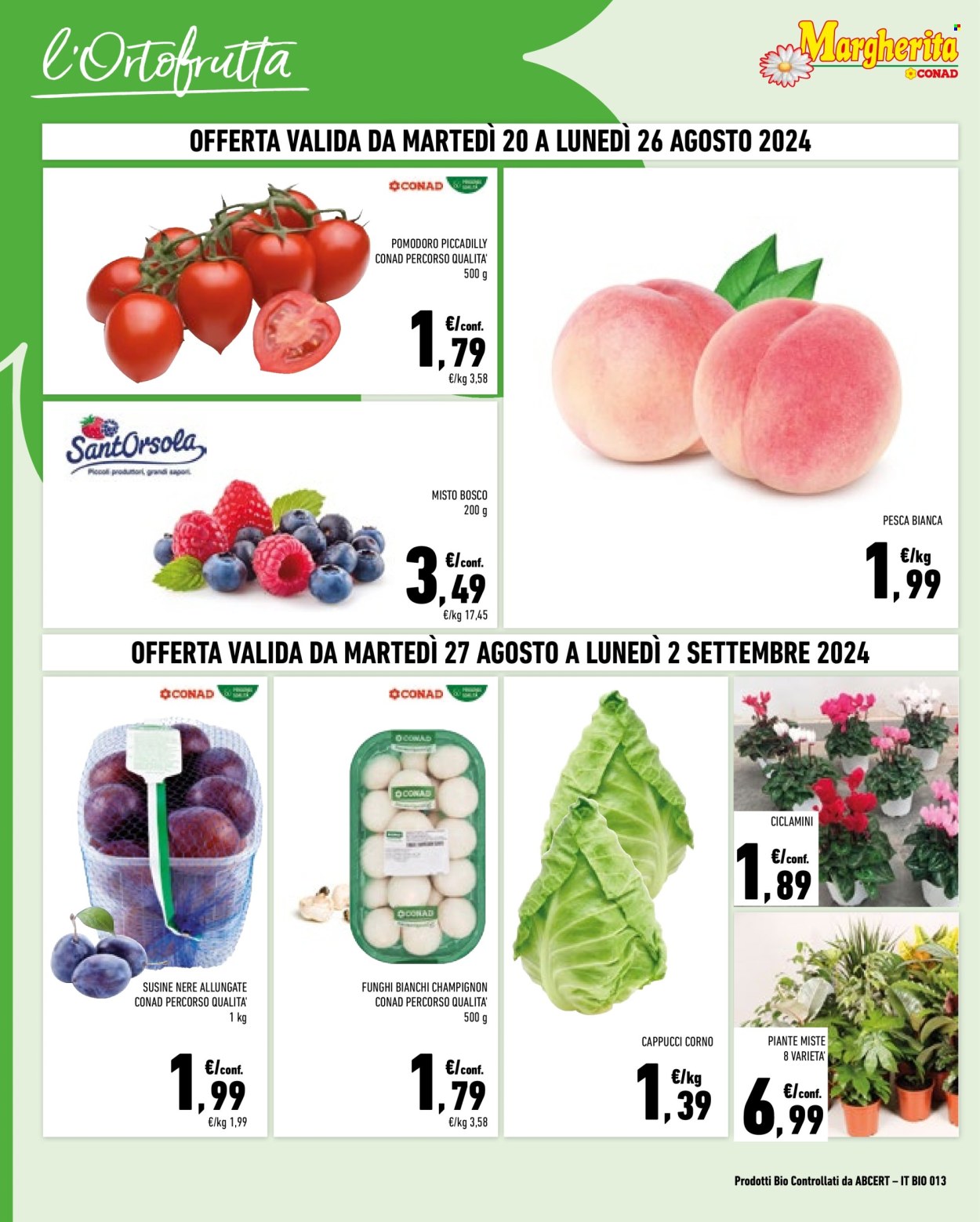 Leták Margherita Conad - 20.8.2024 - 2.9.2024. Strana 2
