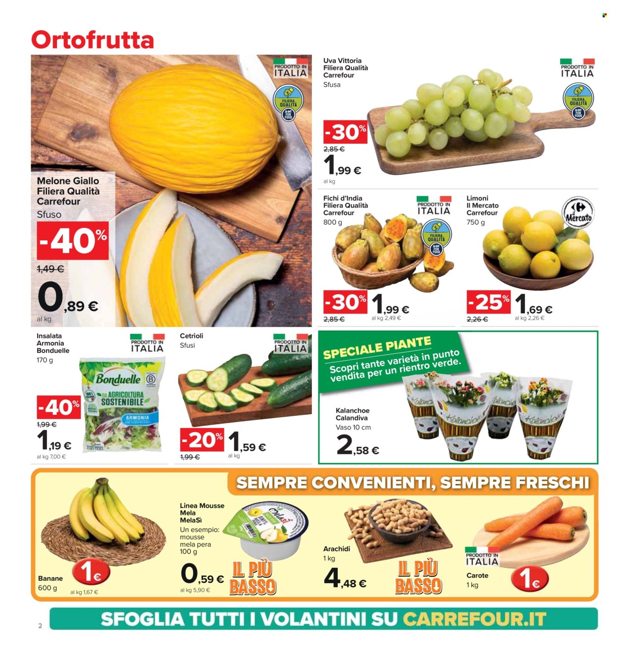Leták Carrefour - 22.8.2024 - 5.9.2024. Strana 2