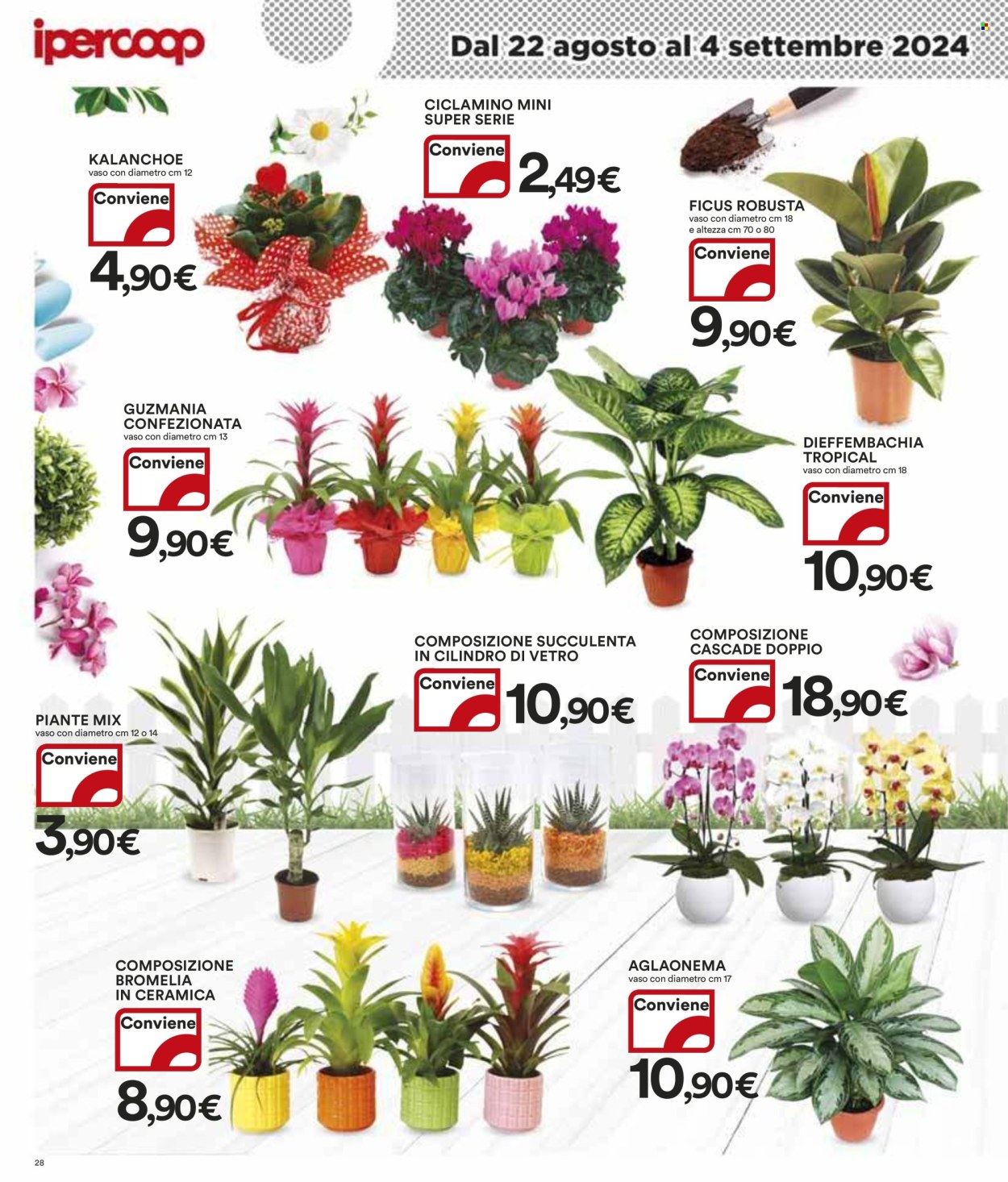 Volantino Coop - 22/8/2024 - 4/9/2024. Pagina 28