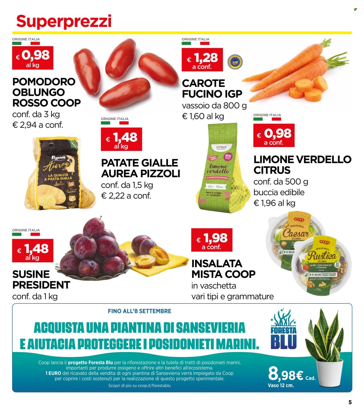 Leták Coop - 21.8.2024 - 3.9.2024. Strana 5