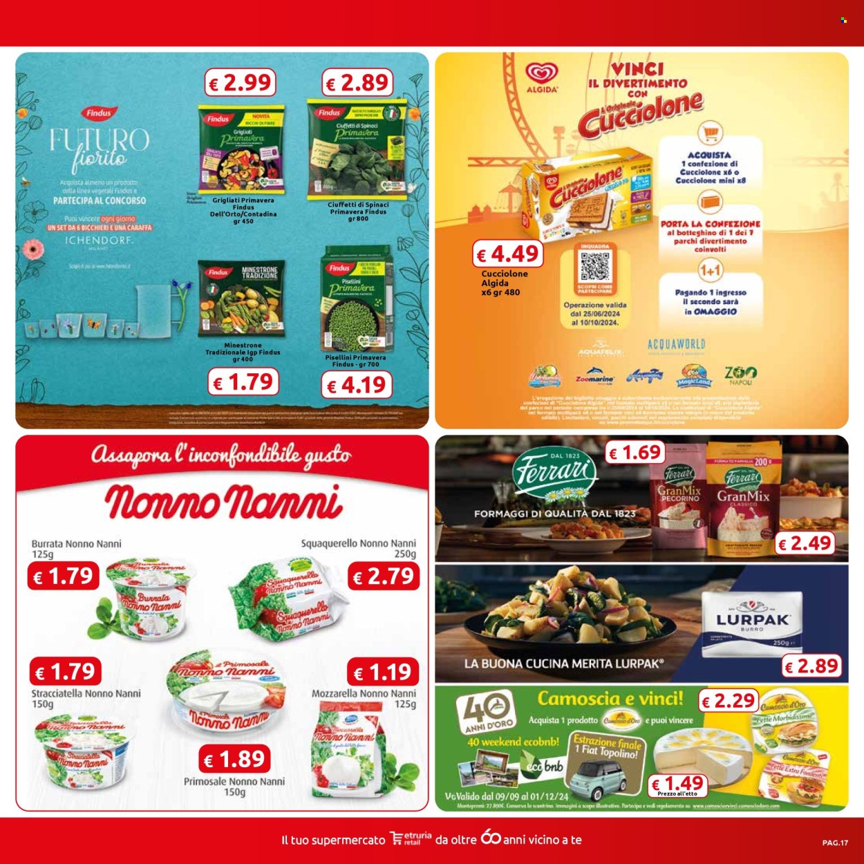 Volantino Carrefour - 3/9/2024 - 15/9/2024. Pagina 17