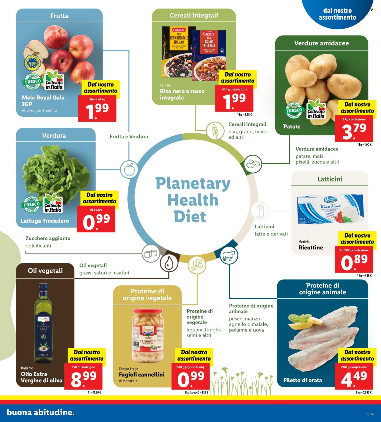 Volantino Lidl - 9/9/2024 - 15/9/2024. Pagina 11