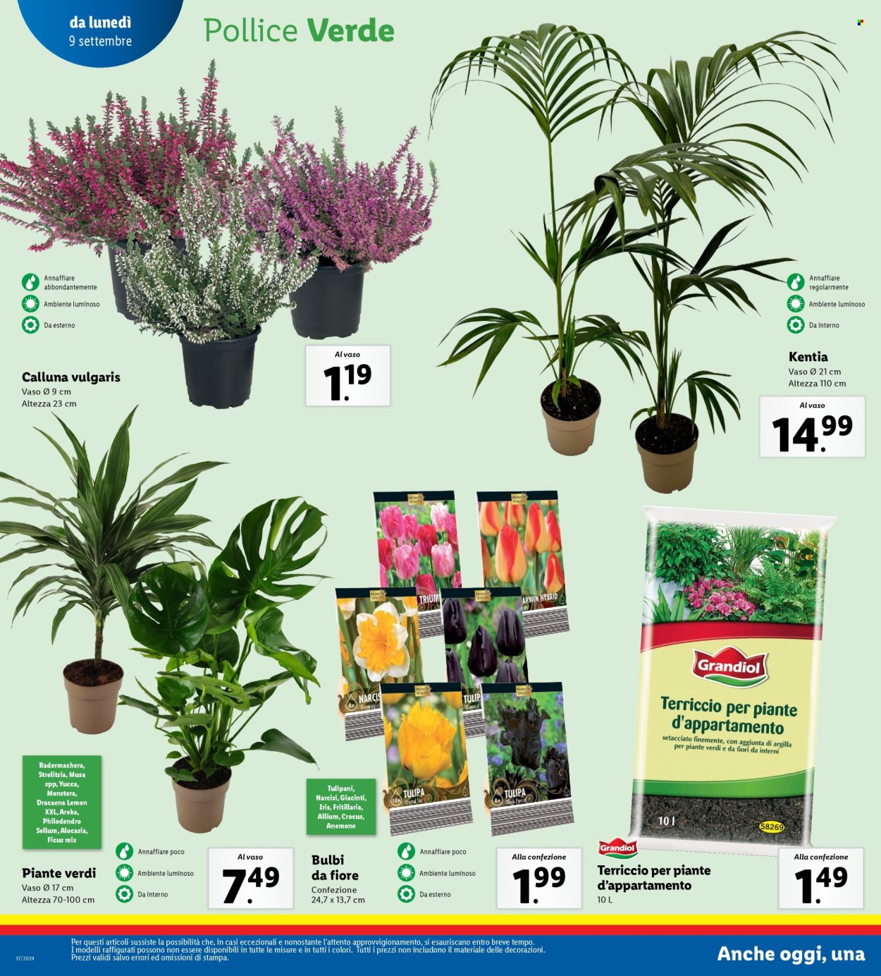 Volantino Lidl - 9/9/2024 - 15/9/2024. Pagina 24
