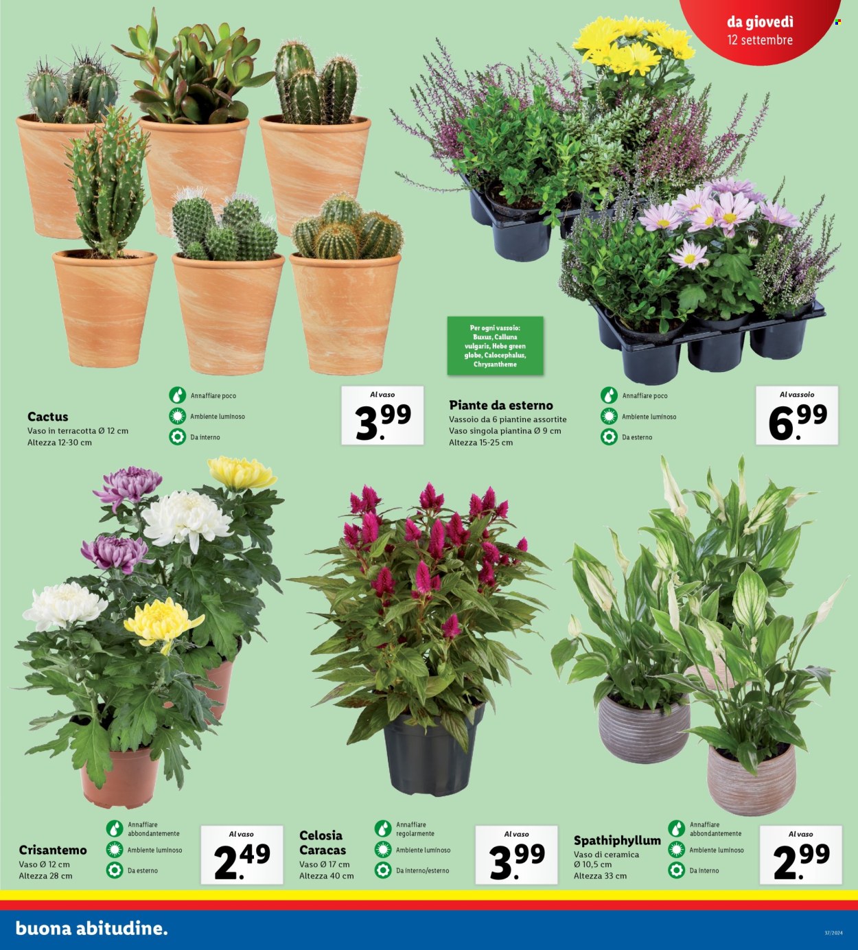 Volantino Lidl - 9/9/2024 - 15/9/2024. Pagina 25