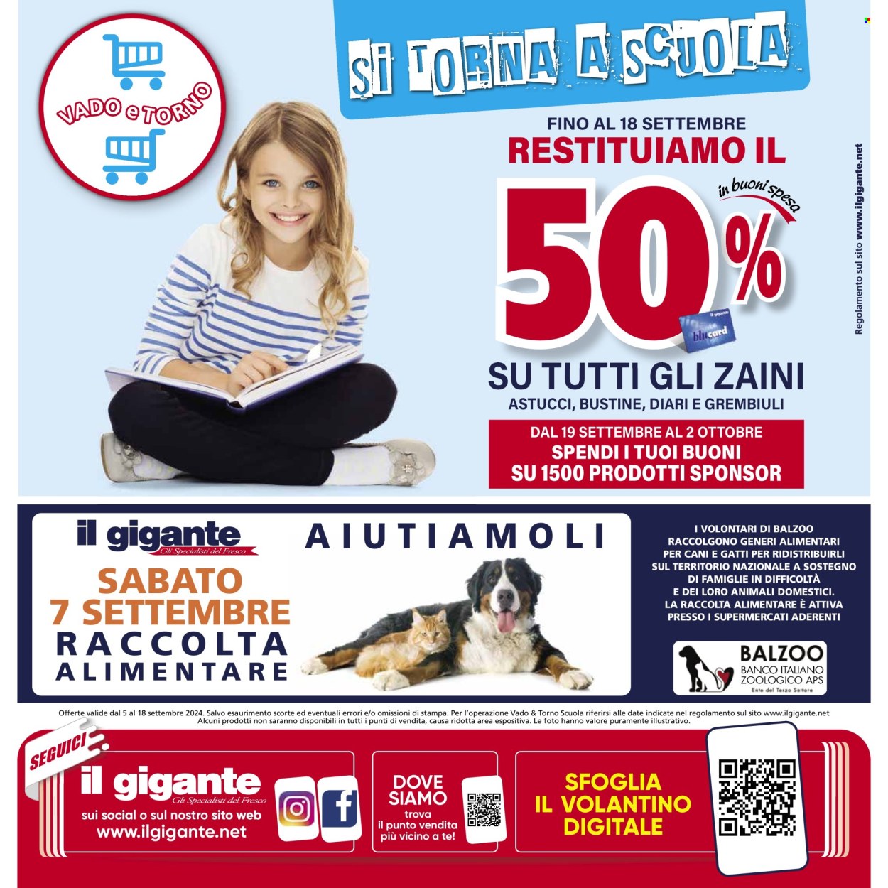 Volantino Il Gigante - 5/9/2024 - 18/9/2024. Pagina 38