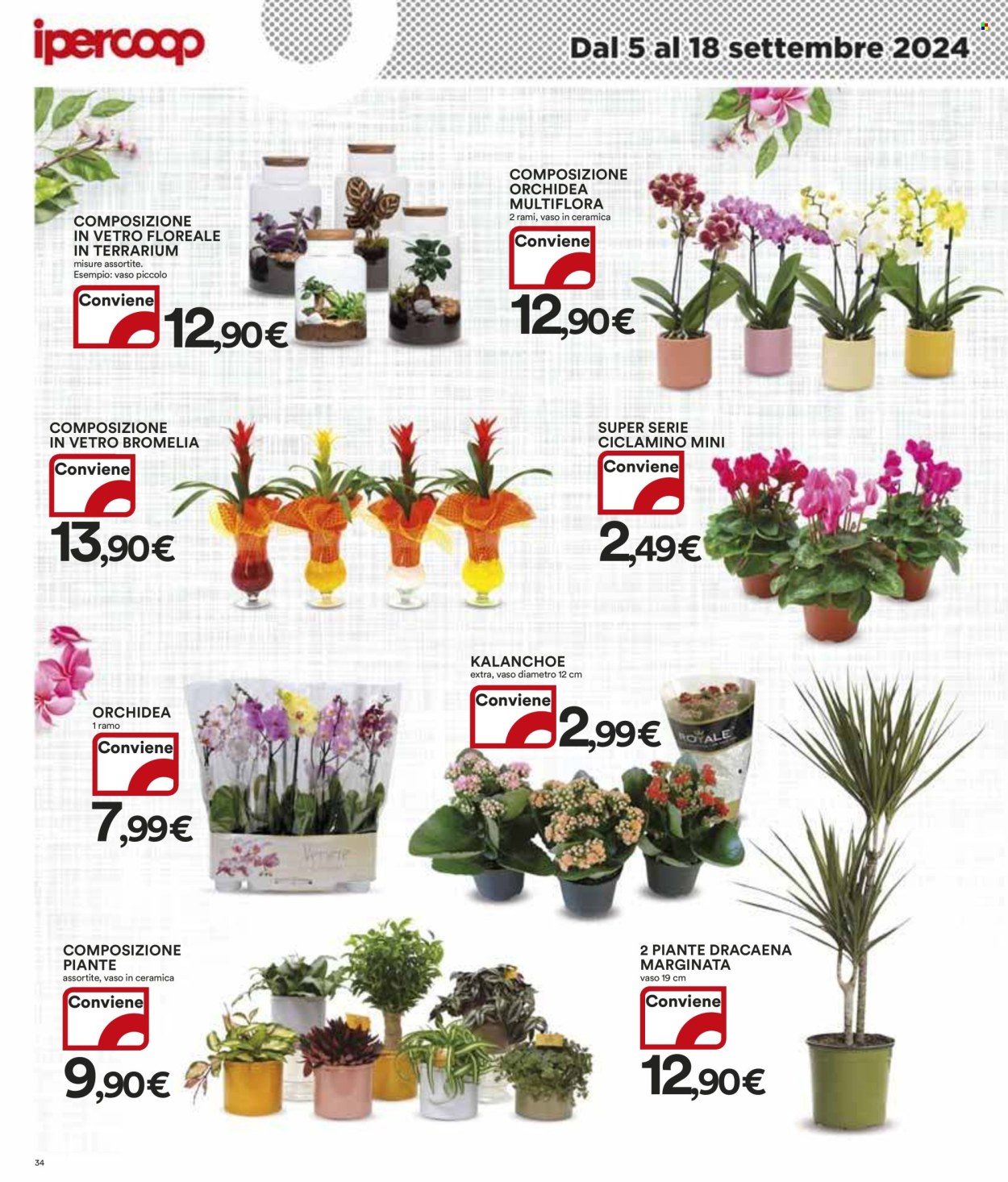 Volantino Coop - 5/9/2024 - 18/9/2024. Pagina 34