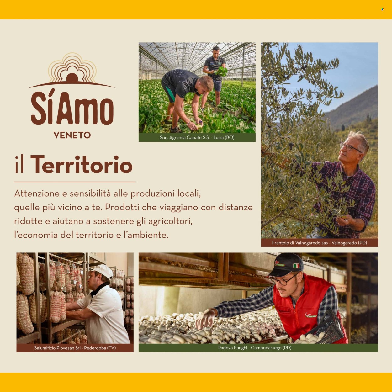 Leták Spesa Facile Conad - 12.9.2024 - 30.9.2024. Strana 6