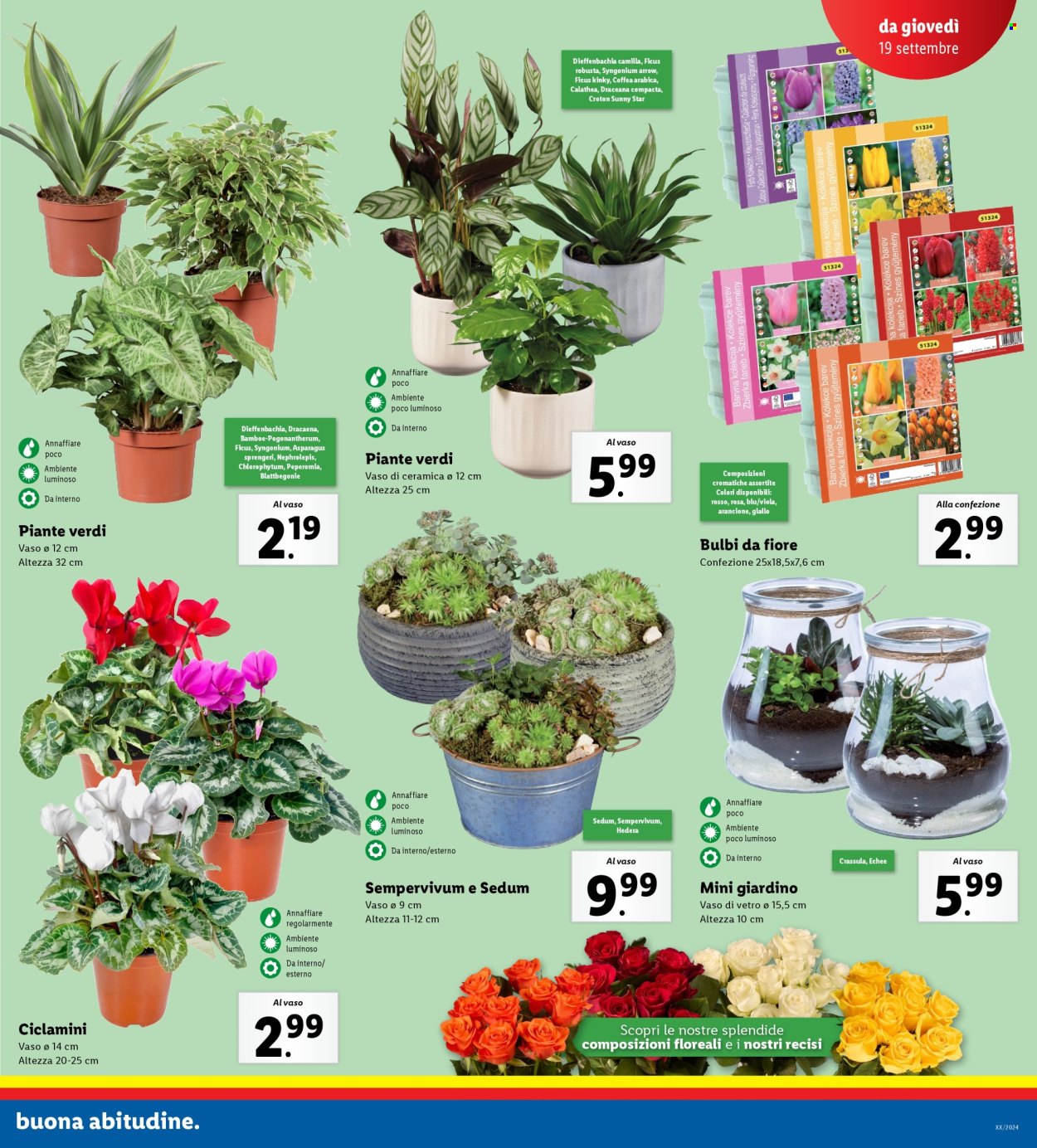 Volantino Lidl - 16/9/2024 - 22/9/2024. Pagina 23
