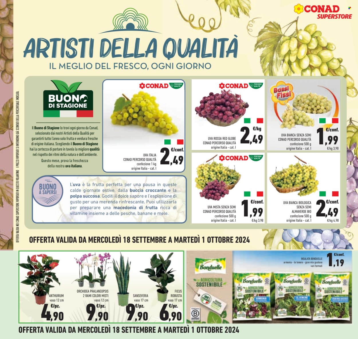 Volantino Conad Superstore - 18/9/2024 - 1/10/2024. Pagina 28
