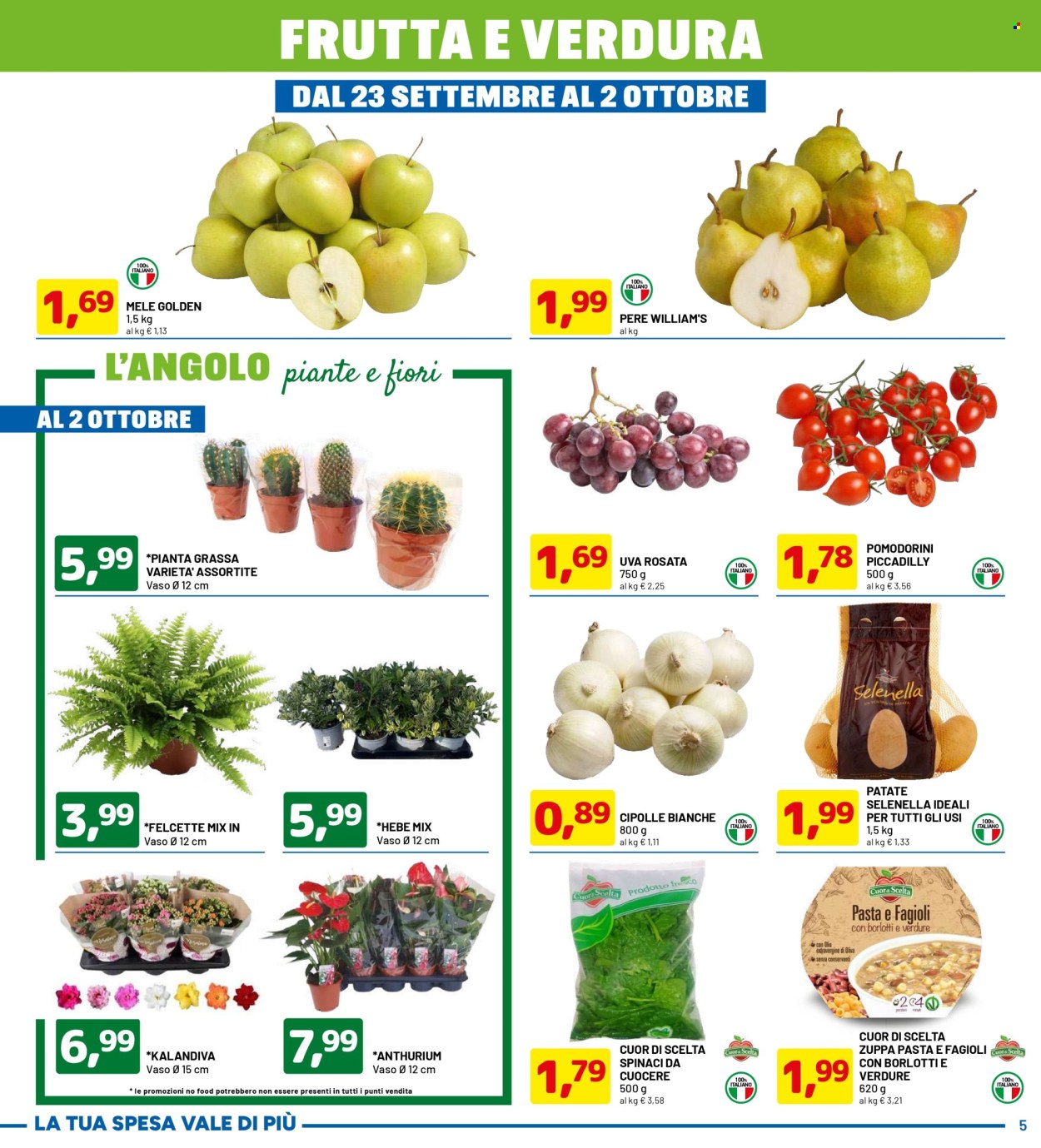 Volantino Dpiù - 16/9/2024 - 2/10/2024. Pagina 5