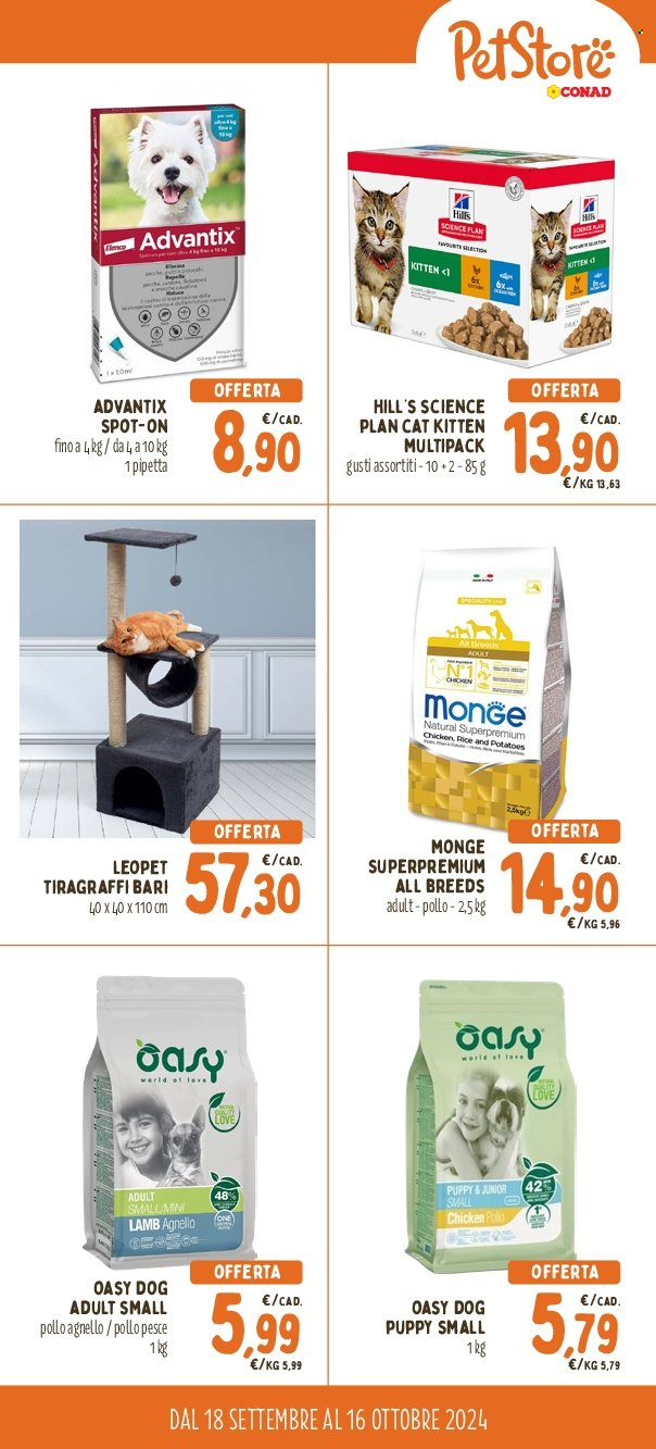 Leták Pet Store Conad - 18.9.2024 - 16.10.2024. Strana 2
