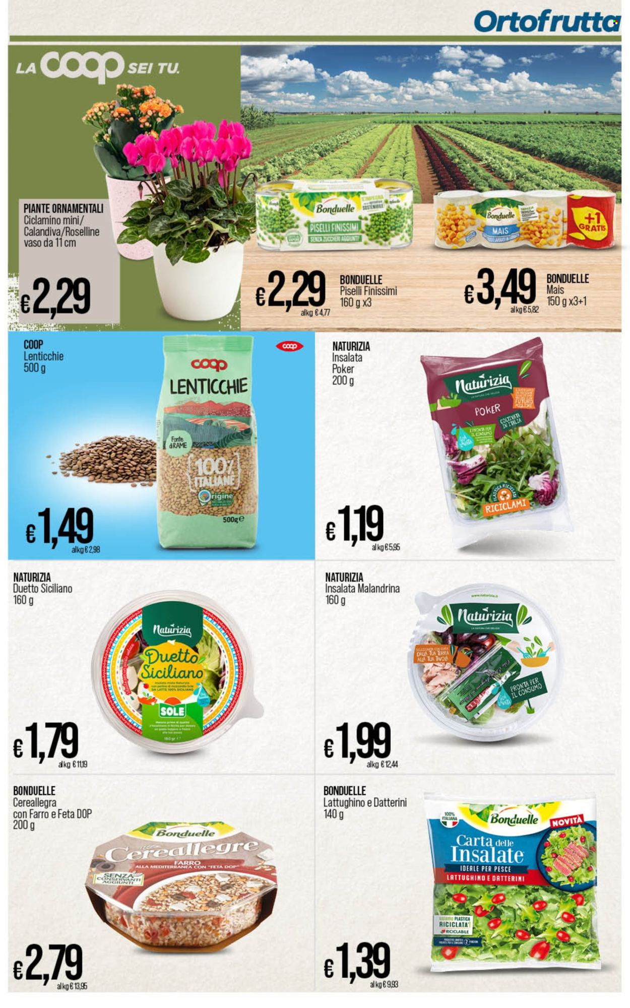 Volantino Coop - 17/9/2024 - 23/9/2024. Pagina 25