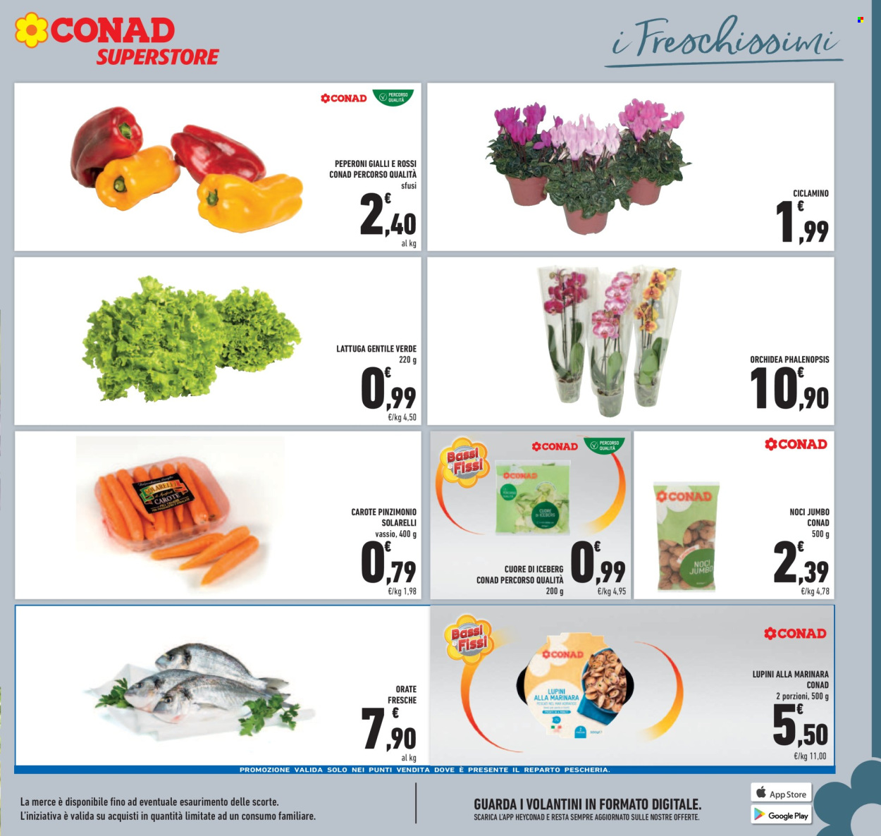 Volantino Conad Superstore - 19/9/2024 - 29/9/2024. Pagina 15