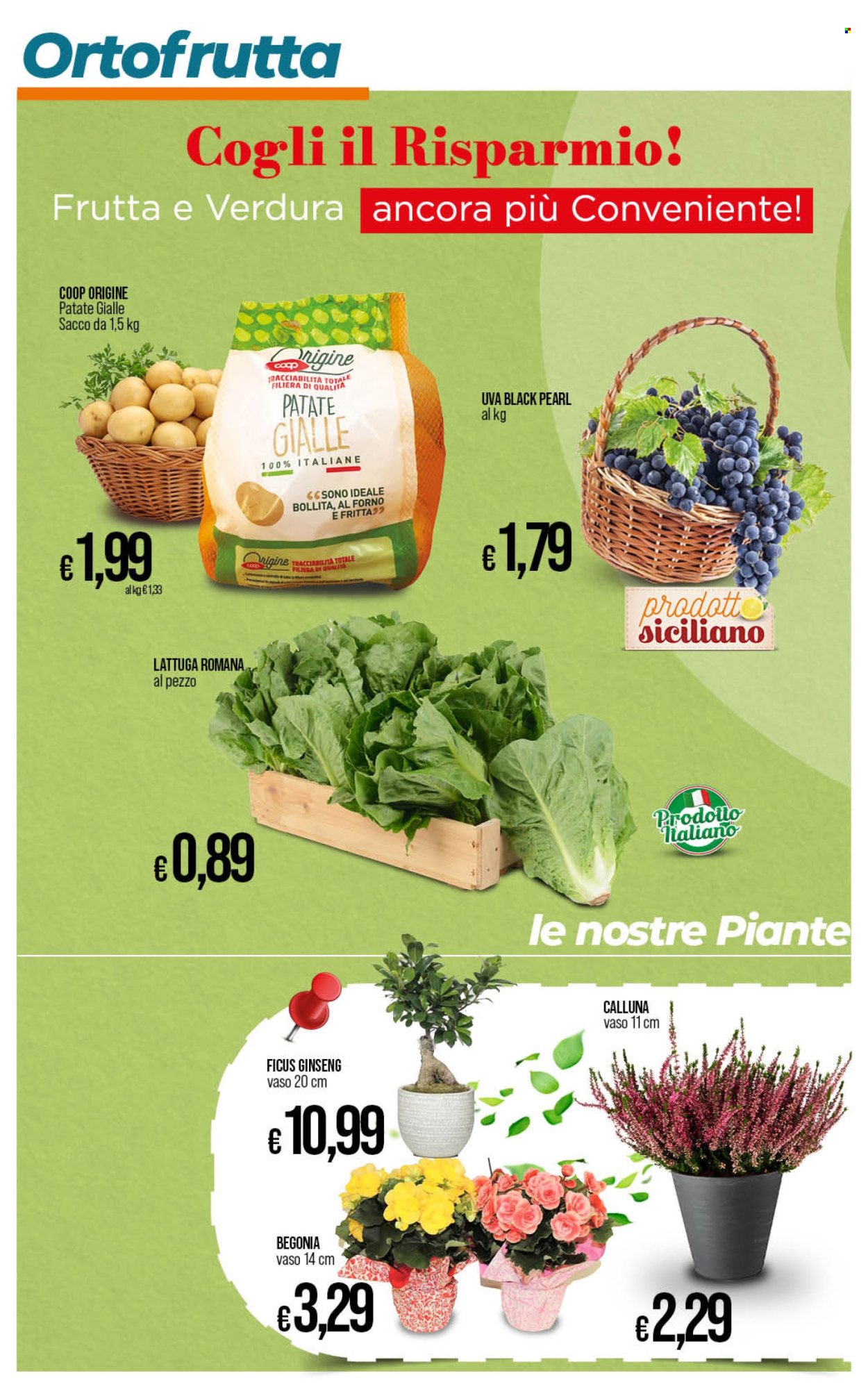 Volantino Coop - 24/9/2024 - 3/10/2024. Pagina 17