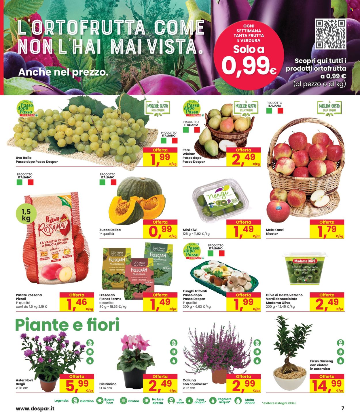 Volantino Interspar - 23/9/2024 - 9/10/2024. Pagina 7