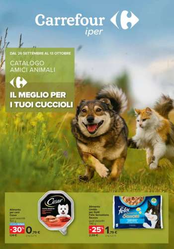 Volantino Carrefour - 26/9/2024 - 13/10/2024.