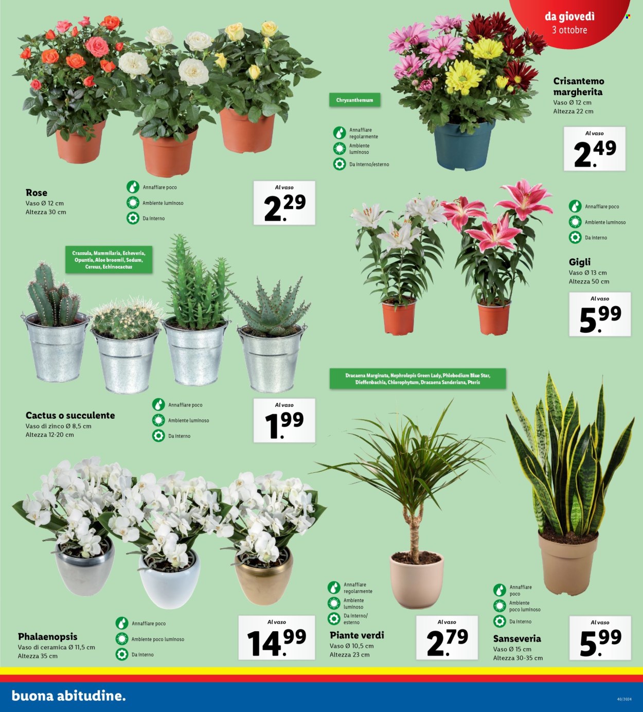 Volantino Lidl - 30/9/2024 - 6/10/2024. Pagina 21