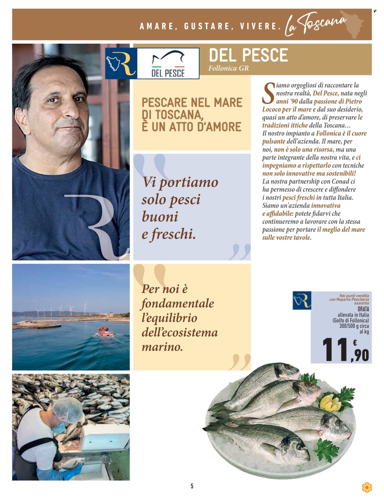 Volantino Conad - 3/10/2024 - 16/10/2024. Pagina 5