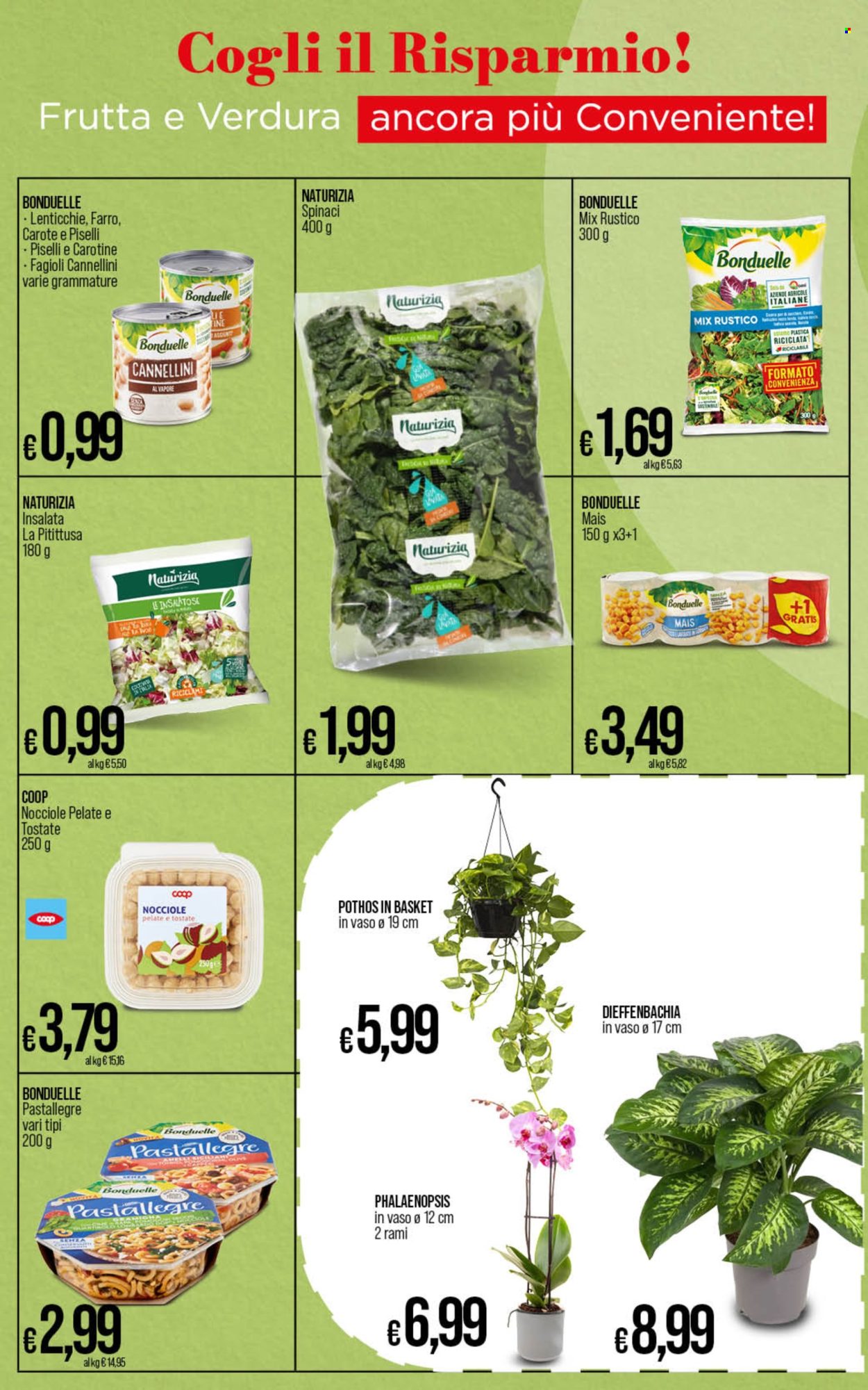 Leták Coop - 4.10.2024 - 14.10.2024. Strana 17
