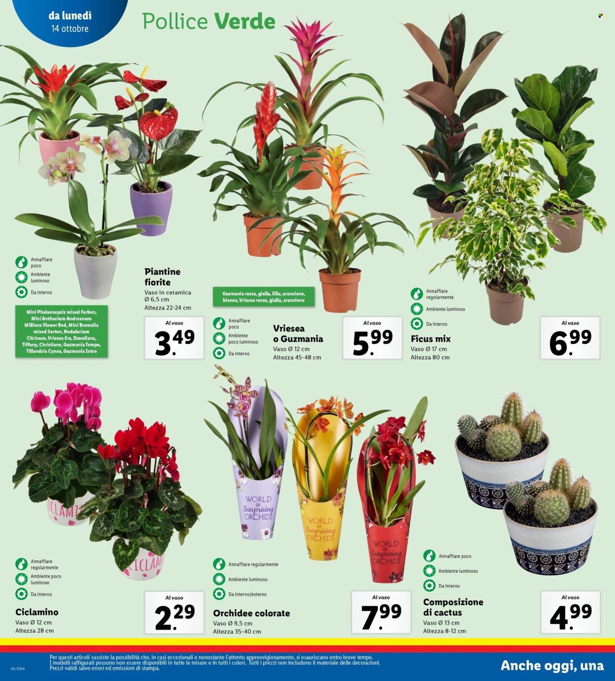 Volantino Lidl - 14/10/2024 - 20/10/2024. Pagina 22