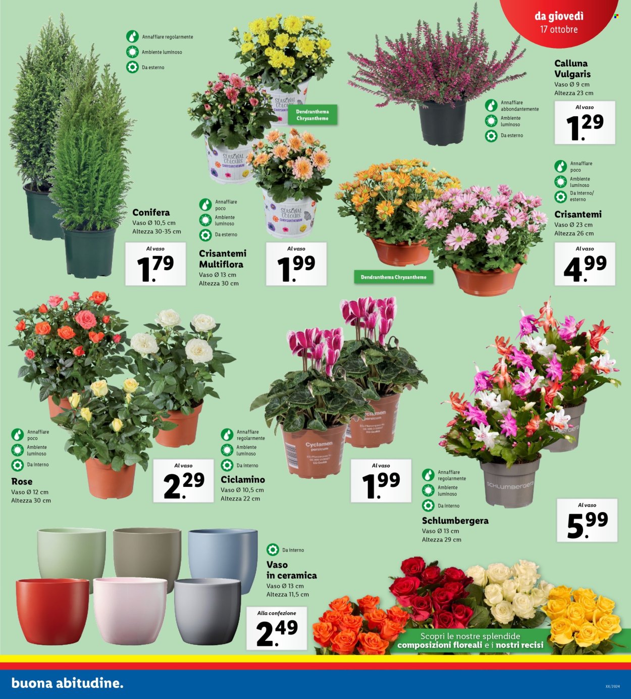 Volantino Lidl - 14/10/2024 - 20/10/2024. Pagina 23