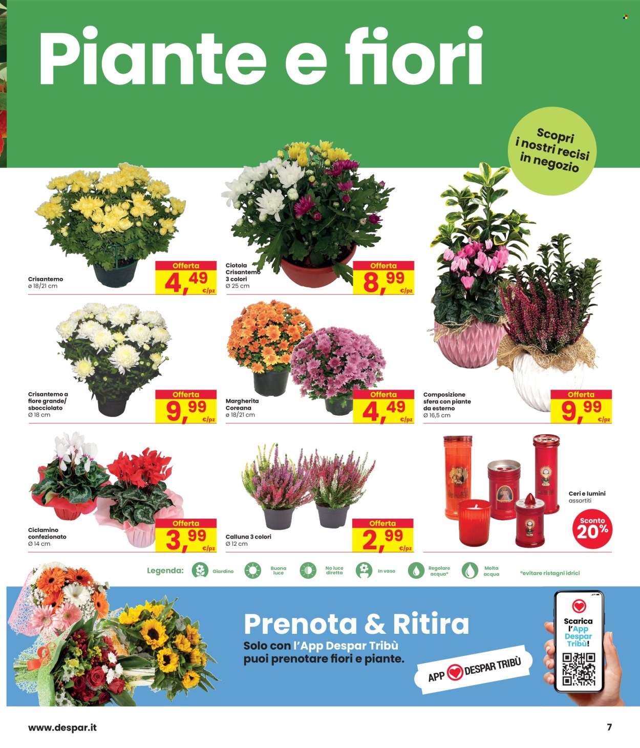Volantino Interspar - 24/10/2024 - 6/11/2024. Pagina 7