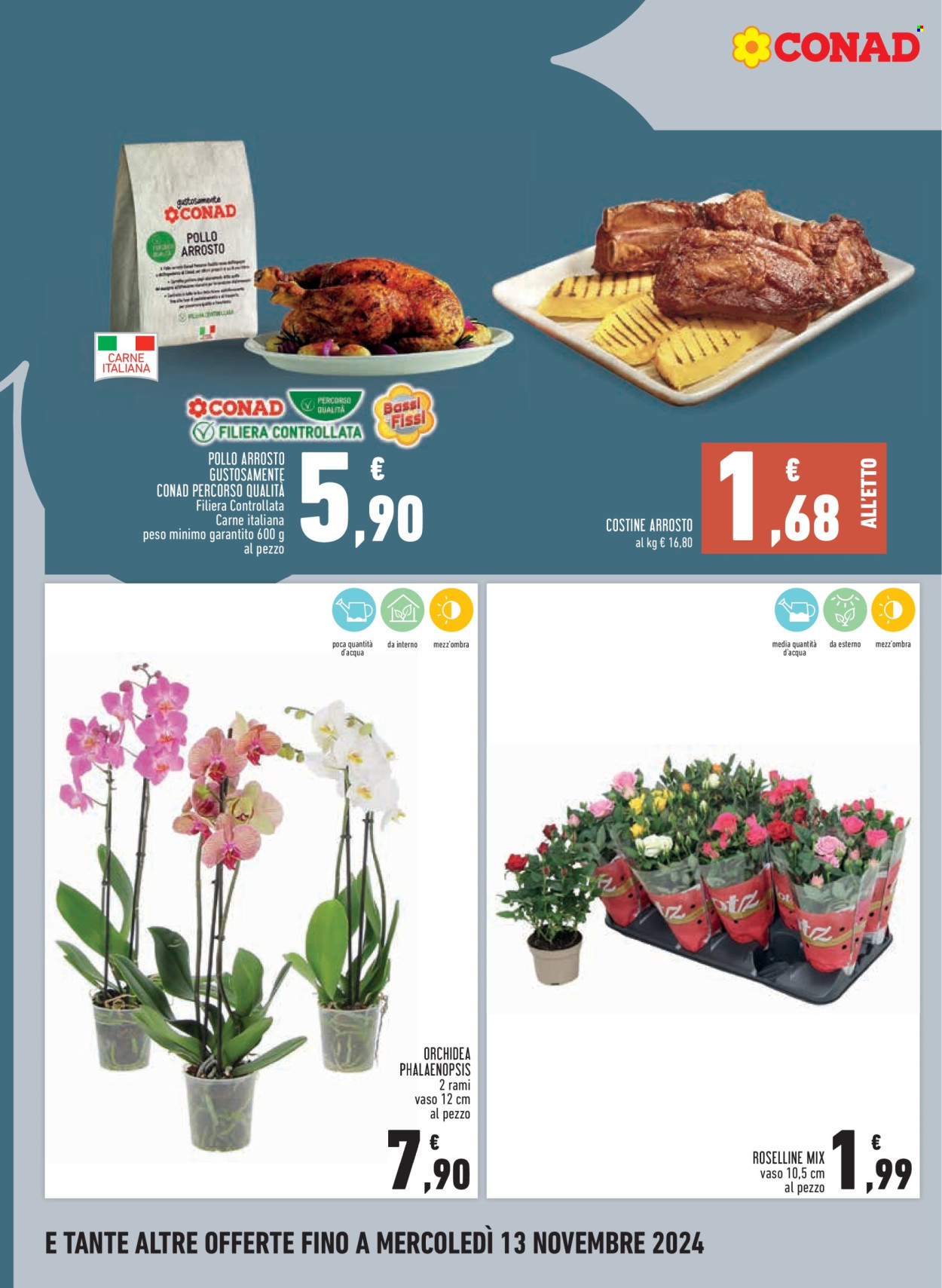 Leták Conad City - 31.10.2024 - 13.11.2024. Strana 8