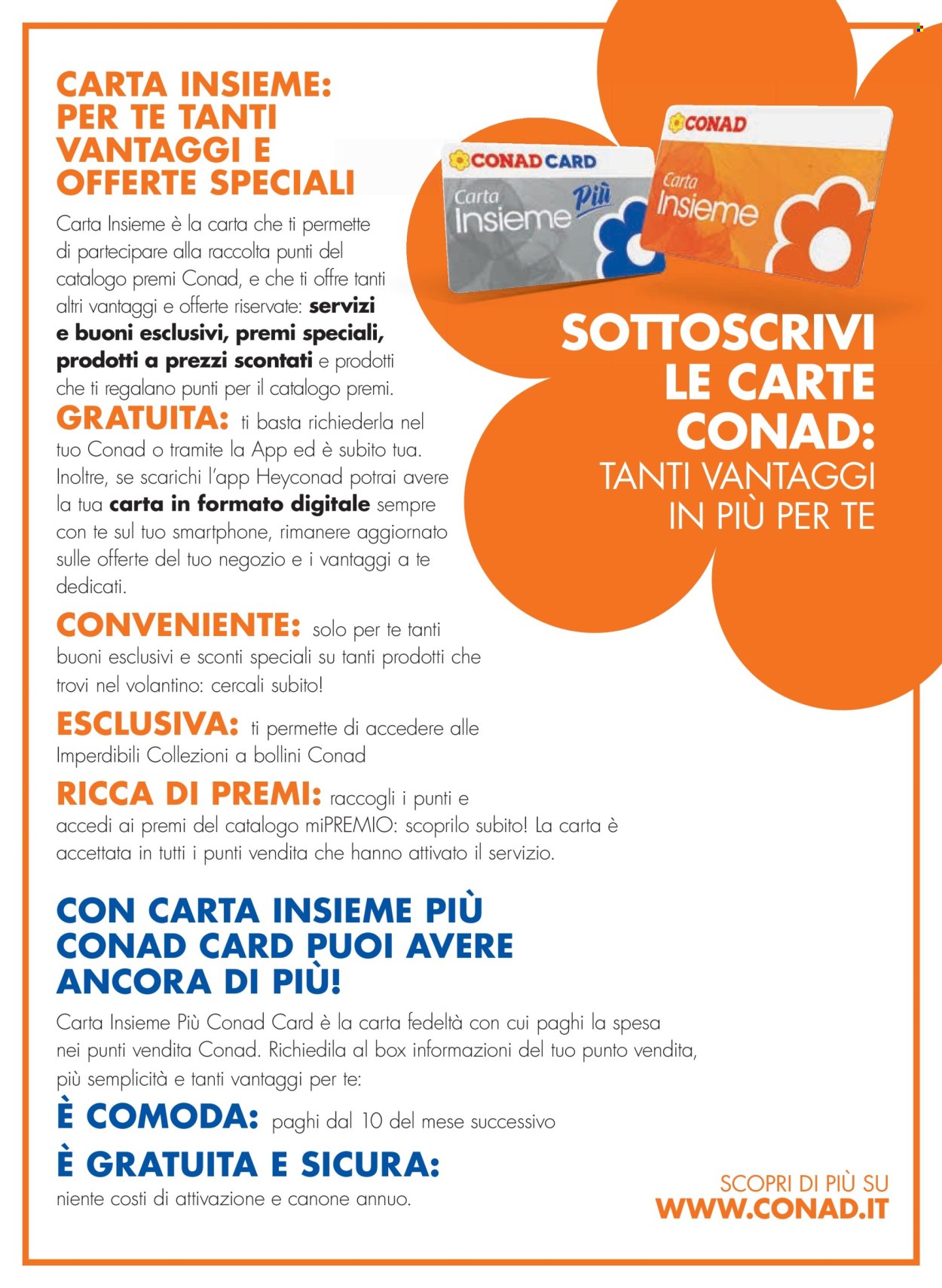 Volantino Conad City - 31/10/2024 - 13/11/2024. Pagina 4