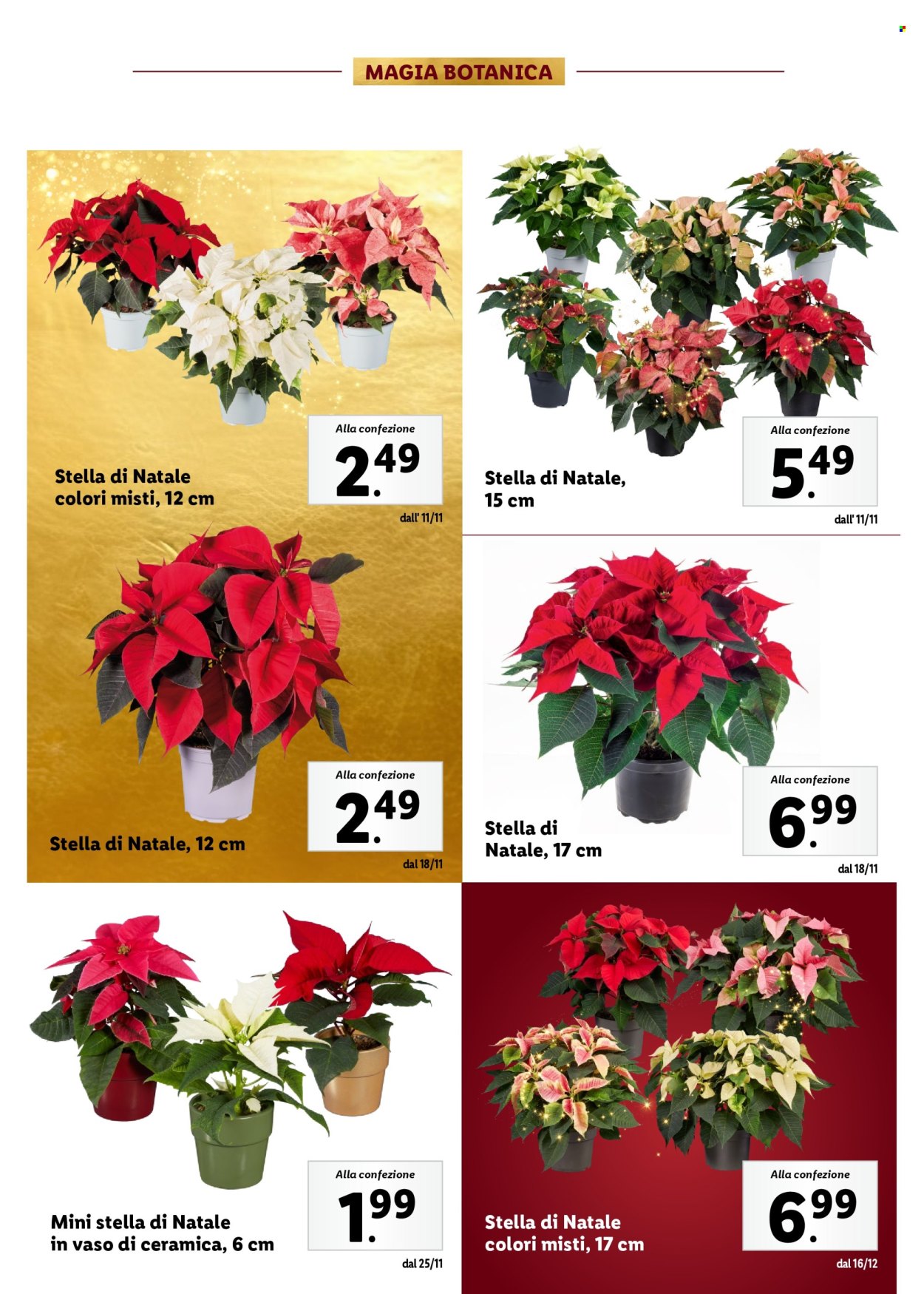 Volantino Lidl. Pagina 86