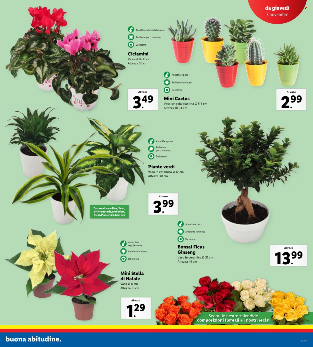 Volantino Lidl - 4/11/2024 - 10/11/2024. Pagina 35