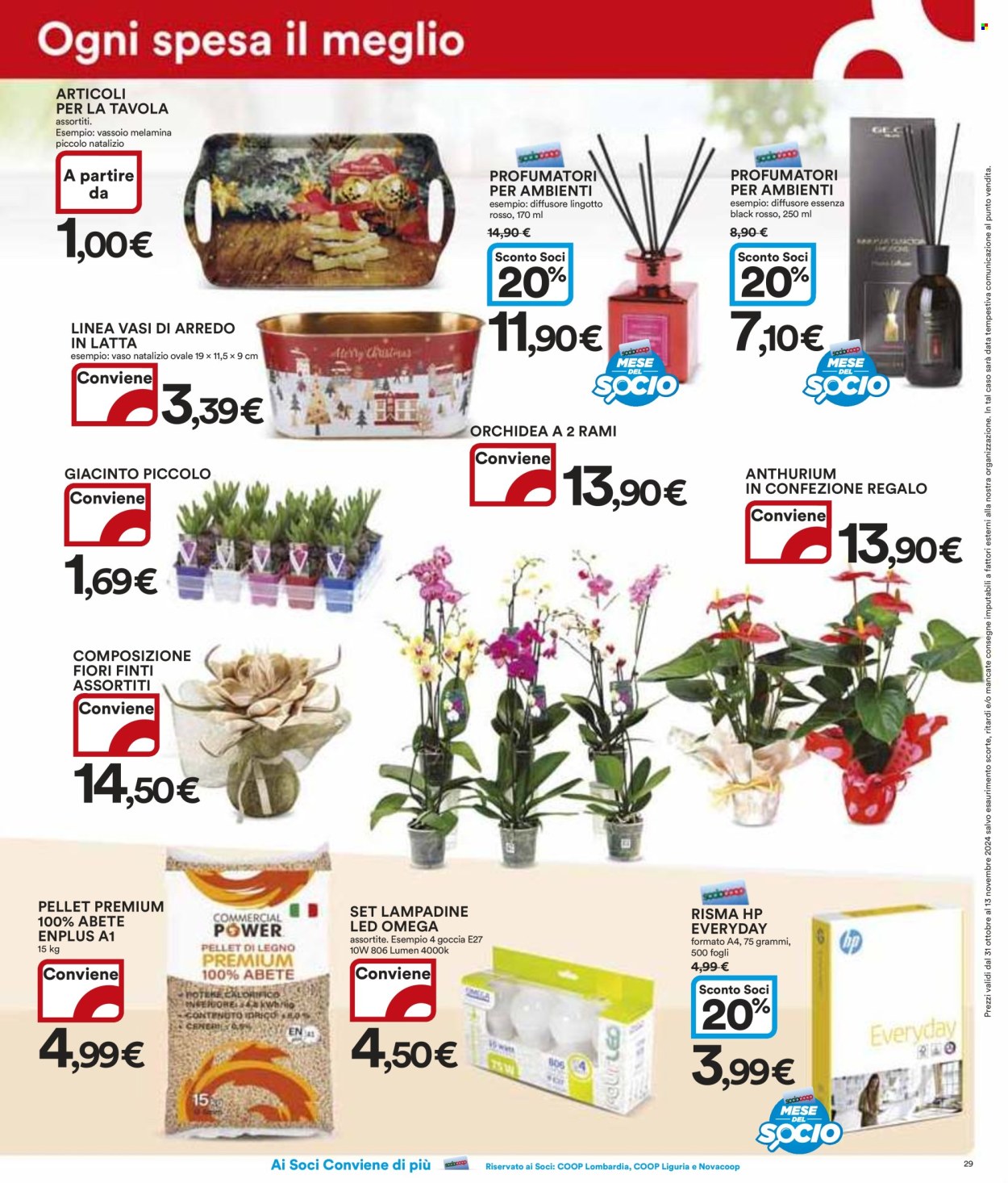 Leták Coop - 31.10.2024 - 13.11.2024. Strana 29