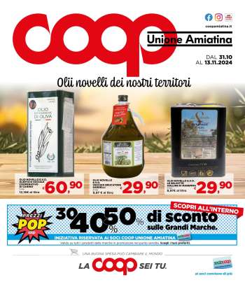 Volantino Coop - 31/10/2024 - 13/11/2024.