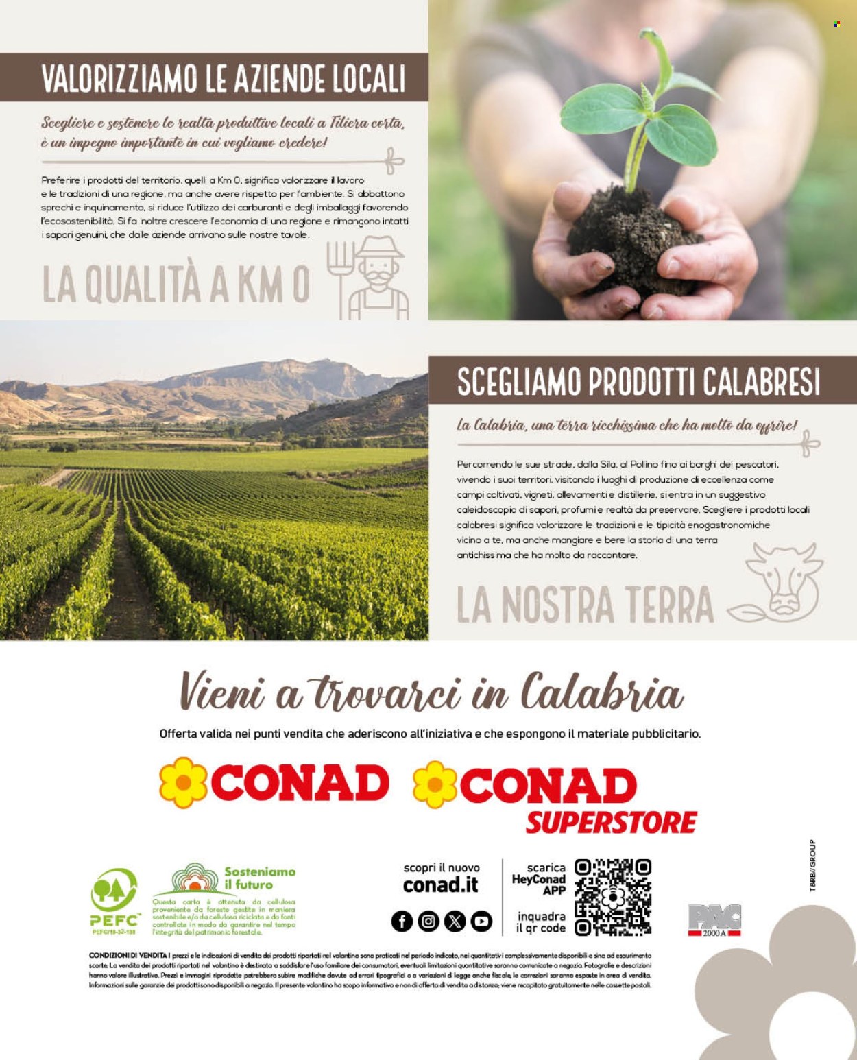 Volantino Conad - 1/11/2024 - 30/11/2024. Pagina 12