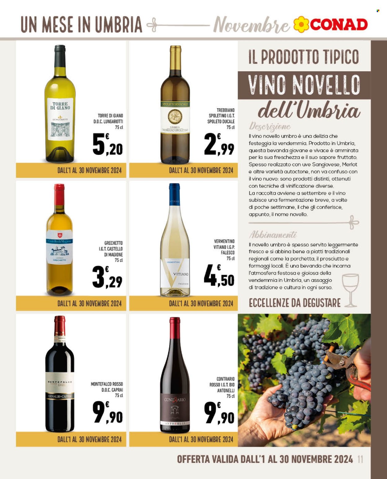 Volantino Conad - 1/11/2024 - 30/11/2024. Pagina 11