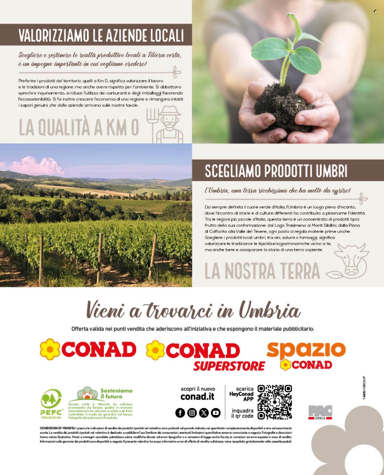 Leták Conad - 1.11.2024 - 30.11.2024. Strana 12