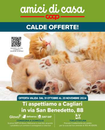 Volantino Coop - 31/10/2024 - 20/11/2024.
