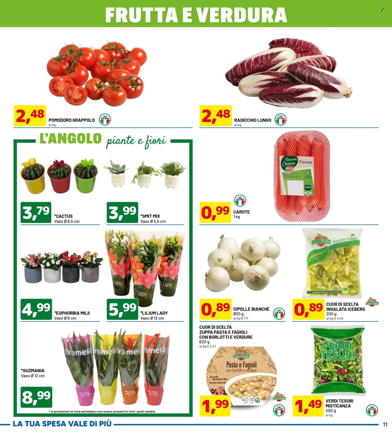 Volantino Dpiù - 7/11/2024 - 16/11/2024. Pagina 11