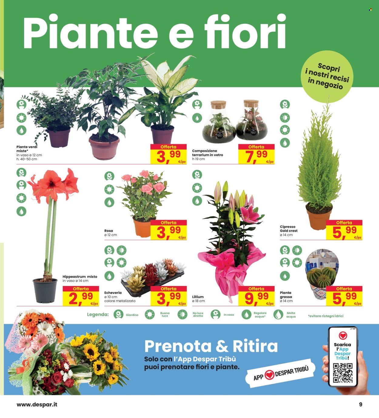 Volantino Interspar - 7/11/2024 - 20/11/2024. Pagina 9