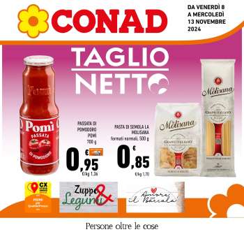 Volantino Conad - 8/11/2024 - 13/11/2024.