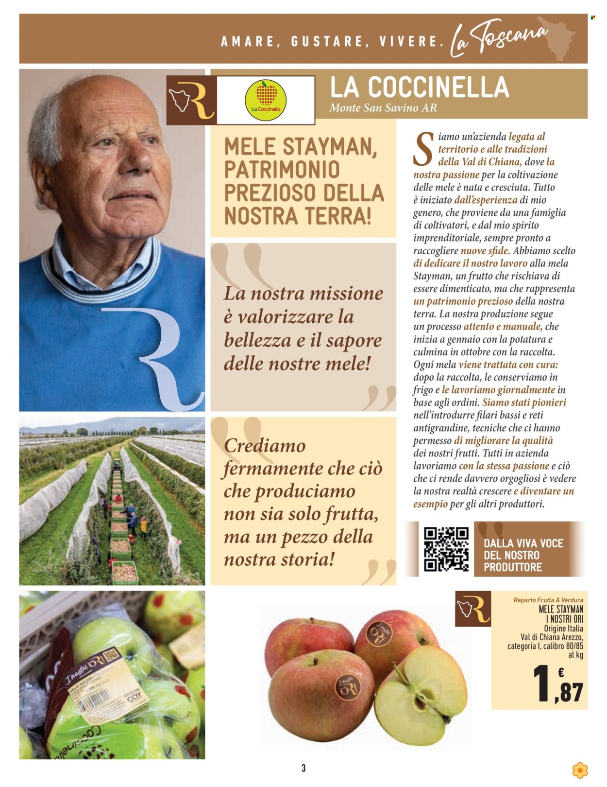 Volantino Conad - 14/11/2024 - 27/11/2024. Pagina 3