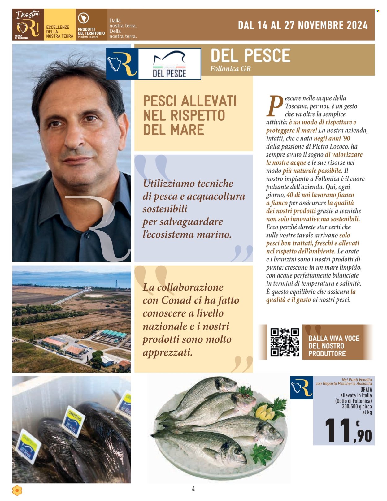 Volantino Conad - 14/11/2024 - 27/11/2024. Pagina 4