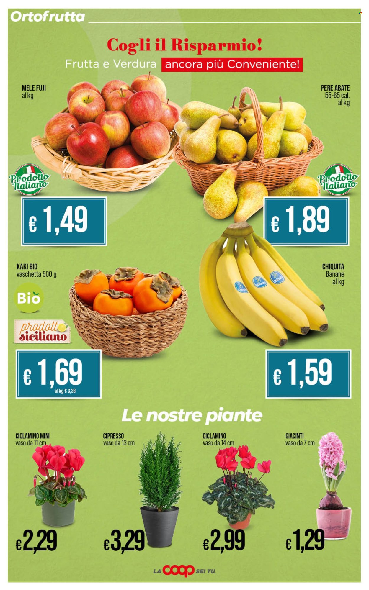 Leták Coop - 11.11.2024 - 17.11.2024. Strana 16